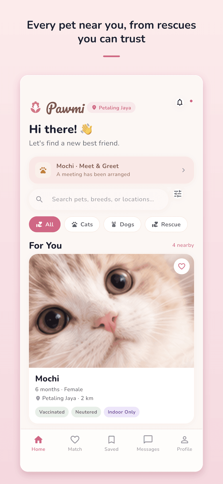 Pawmi's Discover feed: a greeting, a Meet & Greet reminder for a cat named Mochi, search, filter chips for cats, dogs and rescues, and a For You list of nearby pets with health tags like Vaccinated and Neutered.
